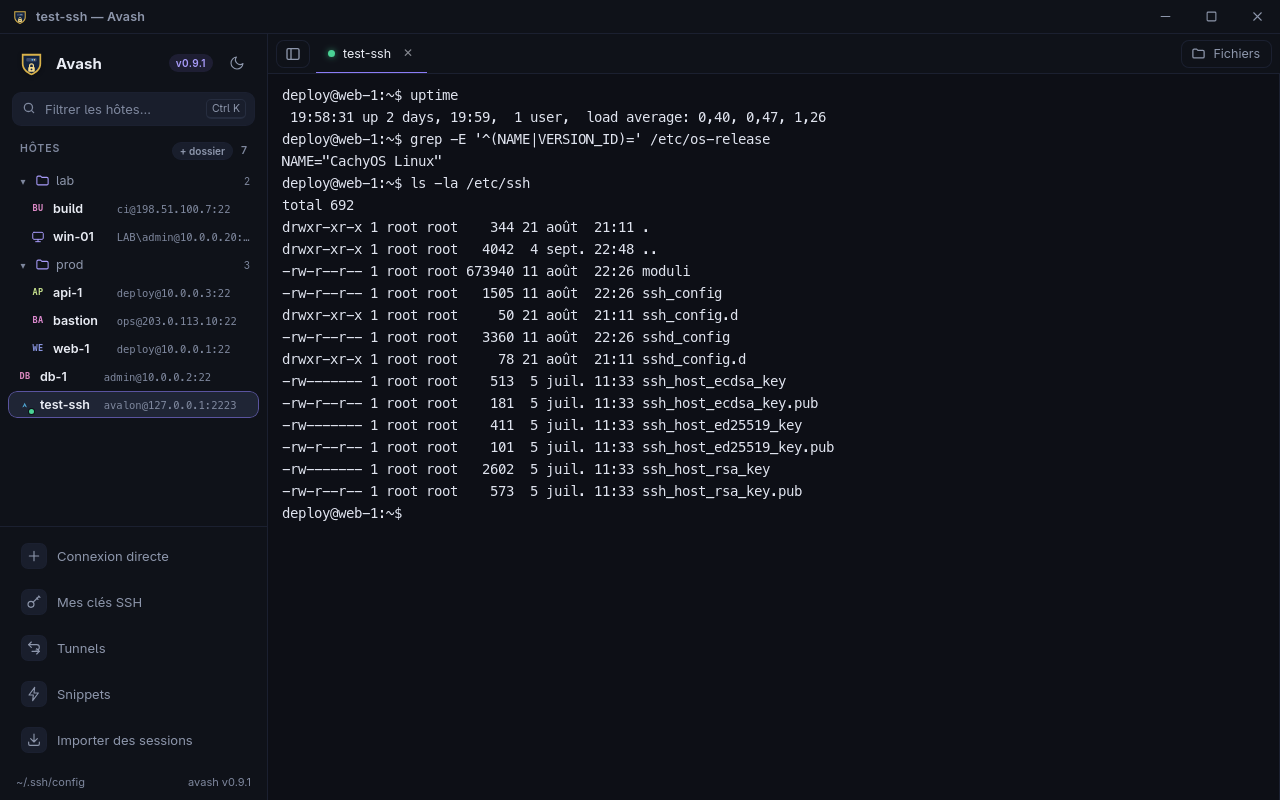 Une session SSH dans avash